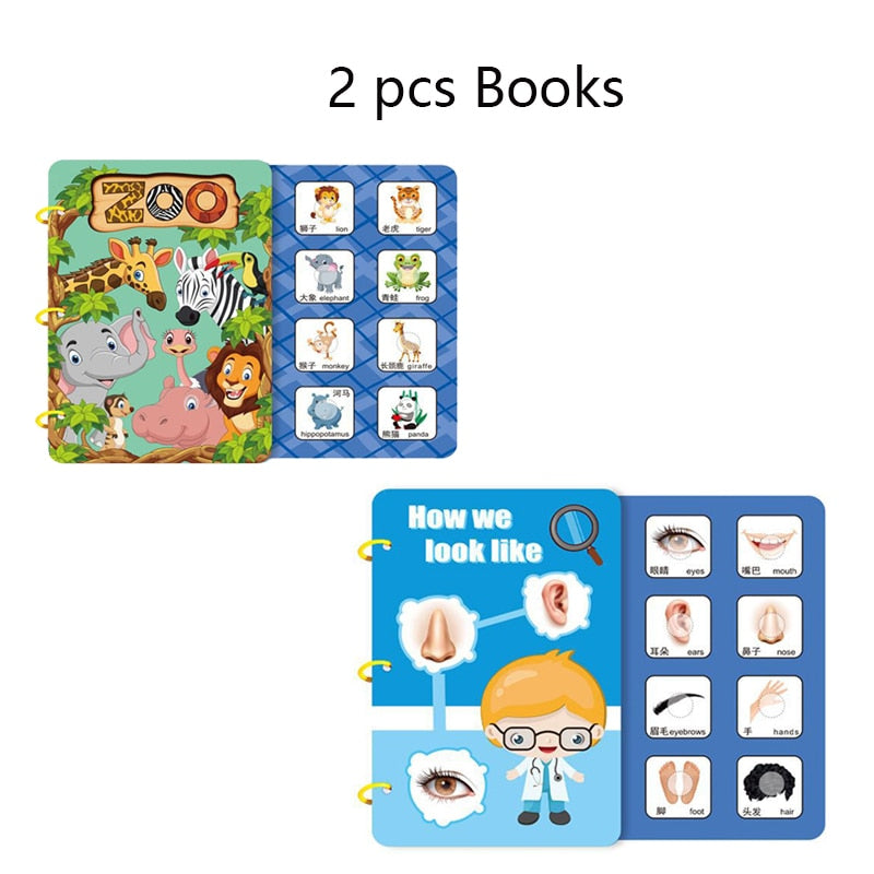 Educational Sticker Books